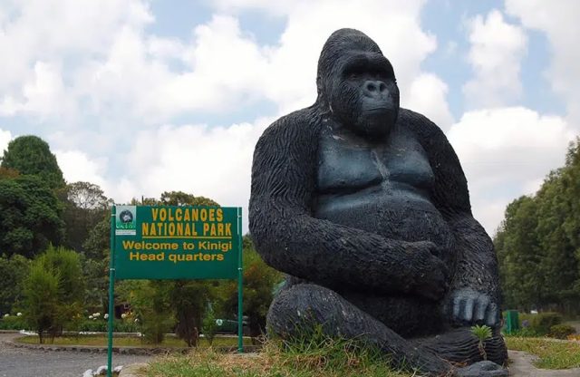 Volcanoes National Park Rwanda